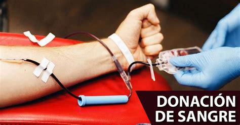 donacion de sangre-1